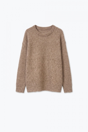 Suéter Beige de Punto Cepillado con Lentejuelas y Cuello Redondo con Ribete Acanalado