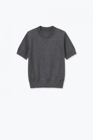 Suéter de Manga de Punto Fino en Mezcla de Lana Merino Gris