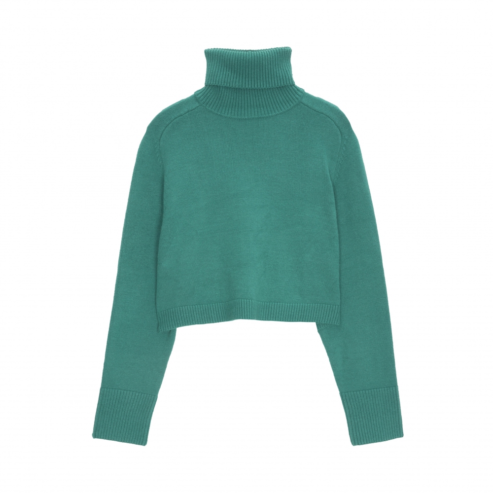 Jersey cropped de cuello alto en verde