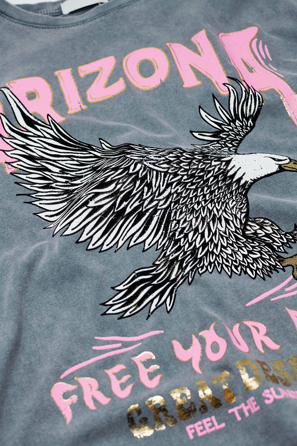 Camiseta Arizona con estampado digital de &aacute;guilas en gris